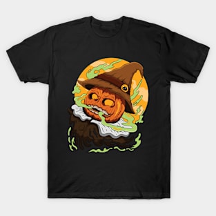 pumpkin straw hat T-Shirt